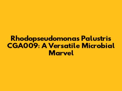 Rhodopseudomonas Palustris CGA009: A Versatile Microbial Marvel